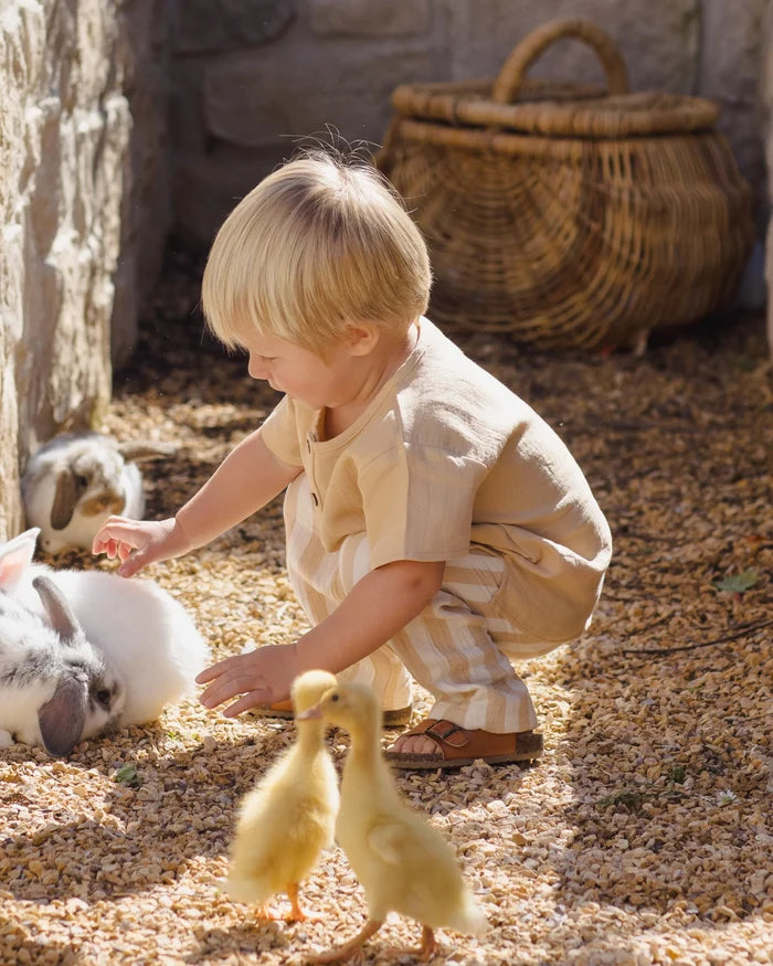 Henry Top | Butterscotch | Baby + Kids