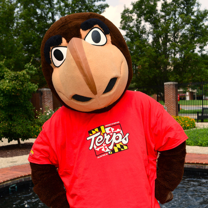 2026 Official UMD Homecoming Shirt