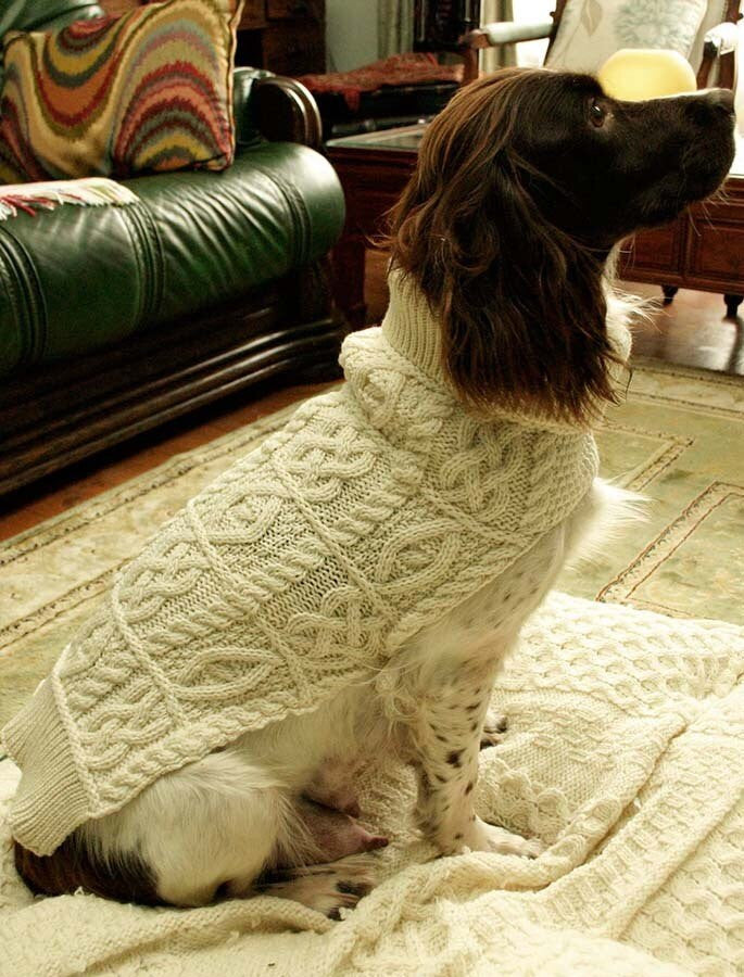 Aran Dog Coat - Natural White #color_natural-white