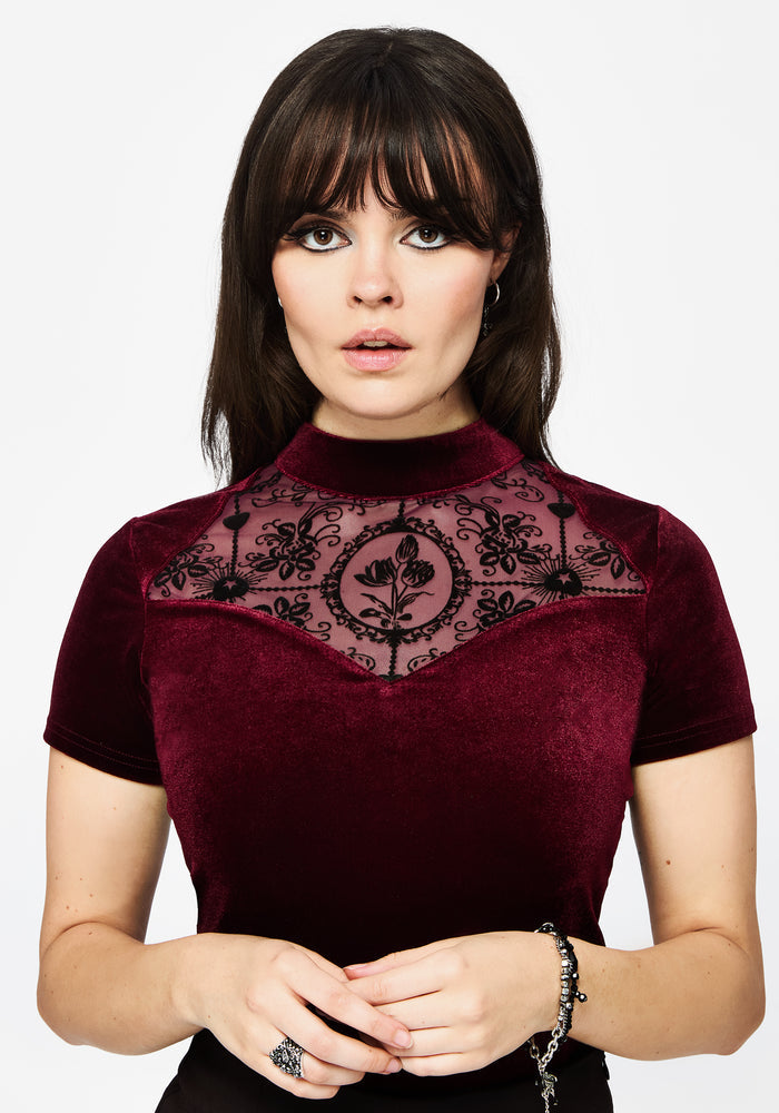 Cameo Floral Flocked Mesh Velour High Neck Top - Red