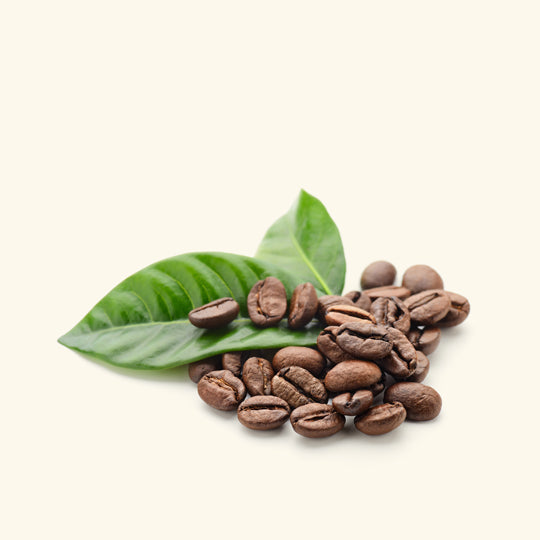 Coffee Hydrosol