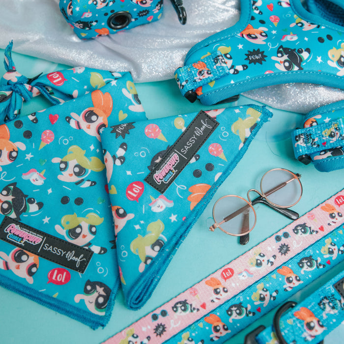 A flat lay of the Sassy Woof Dog Bandana - The Powerpuff Girls™ (Blue), a lightweight cotton dog accessory, plus harness, collars, leash, camera, and round eyeglasses—all arranged on a turquoise surface.