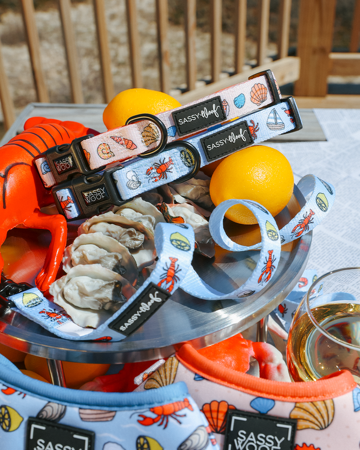 A sunny outdoor display features Sassy Woof's "Dog Collar - Coastal Cuties" with nautical and seafood-themed dog accessories, lemons, oysters, a toy lobster, wine, and an adjustable harness on a metal tray.
