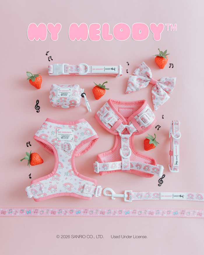 Sassy Woof’s Dog Collar - My Melody™ and matching pink pet accessories are displayed on a pastel pink background decorated with strawberries and musical notes.