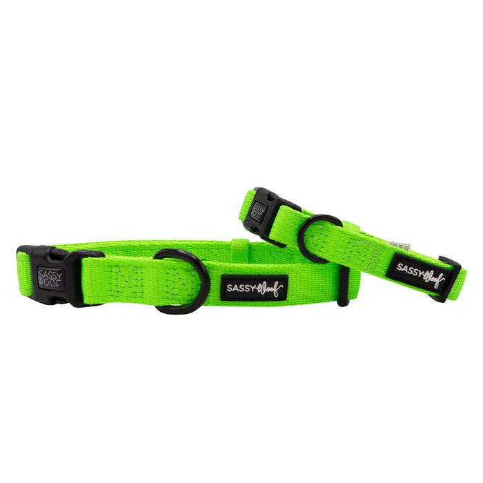 Two Sassy Woof Dog Collar - Neon Green pieces with black plastic buckles and metal rings. These adjustable collars combine comfort and style for your pup.