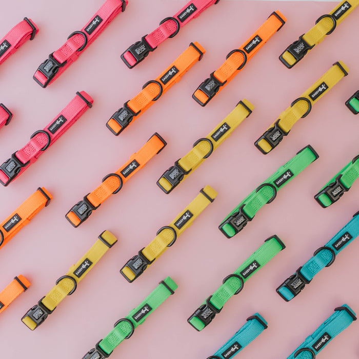 Neon green Sassy Woof dog collars arranged diagonally on a light pink background. Each adjustable collar features a black buckle and a Sassy Woof label.