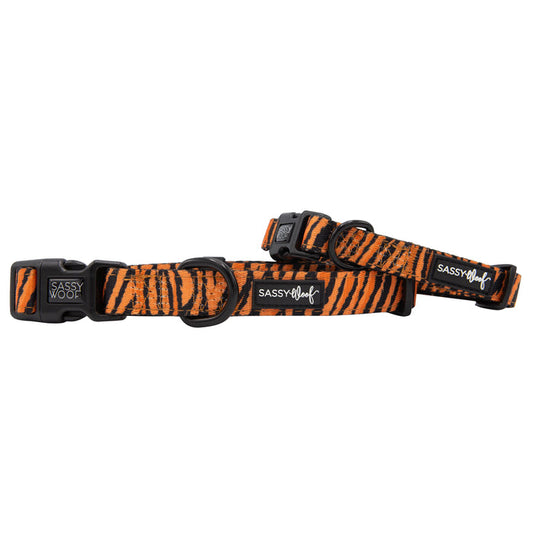 Two Sassy Woof "Paw of the Tiger" adjustable dog collars in orange and black neoprene with tiger stripes, plastic buckles, metal D-rings, and brand labels. Pair with the matching harness for a complete look.