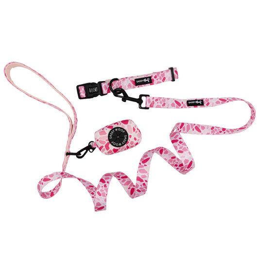 The Sassy Woof Dog Collar Three Piece Bundle - Mykonos features a pink and white patterned collar, leash, and waste bag holder set with black plastic buckles and a metal clip, displayed on a white background.