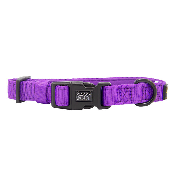 The Dog Collar Three Piece Bundle - Neon Purple by Sassy Woof includes an adjustable neon purple collar featuring a black plastic buckle branded with "Sassy Woof" and a durable metal D-ring for easy attachment of a leash or tag. This stylish accessory, showcased on a white background, is part of our vibrant neon purple dog accessories collection.