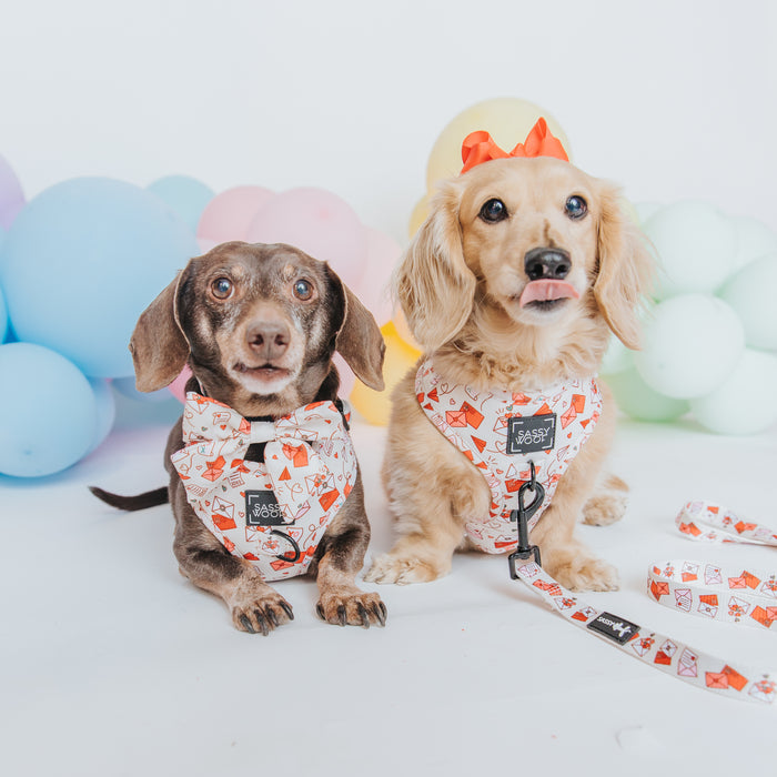 INFLUENCER_CONTENT | @MAYATHEDOX & @WINSTONTHEDOX