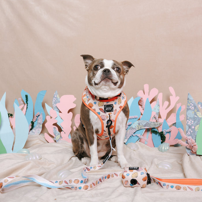 INFLUENCER_CONTENT | @MAVIS_THEBLUEBOSTON | SIZE M