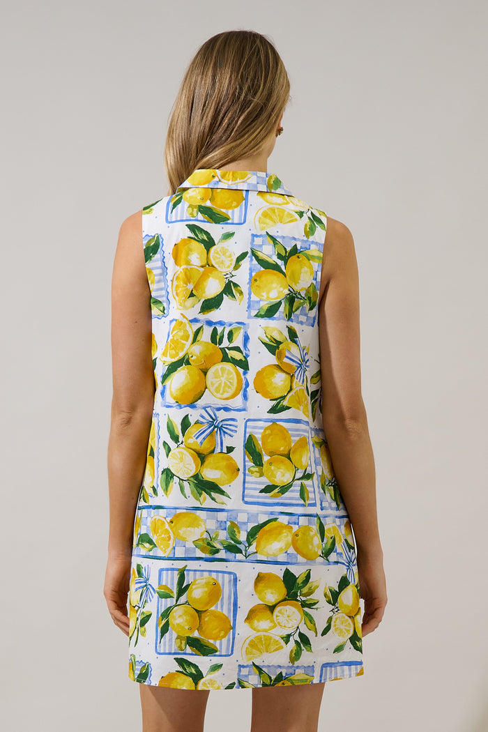 Lexya Collared Shift Mini Dress Lemon Zest